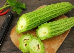 谷歌吃瓜网,揭秘互联网巨头背后的趣味故事