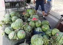 德阳网红吃瓜事件,揭秘网络舆论背后的真相与争议