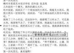 吃瓜大会作文,一场舌尖上的文化盛宴